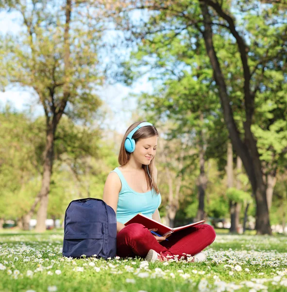 Woman studying in park