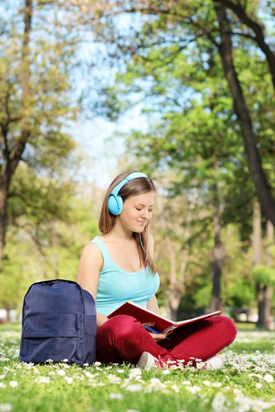 Young woman studying in park