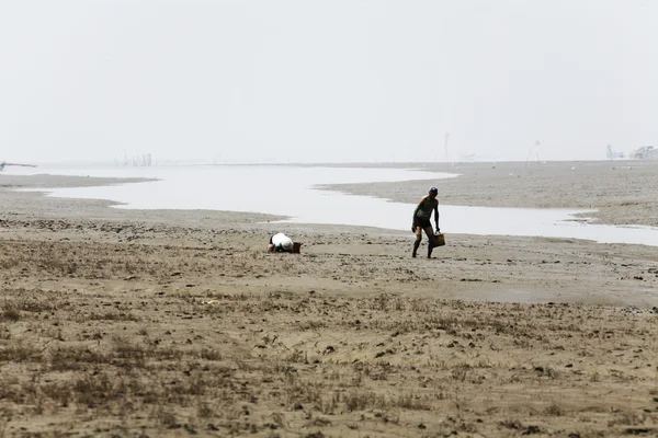 Sea tidal flats in South Korea