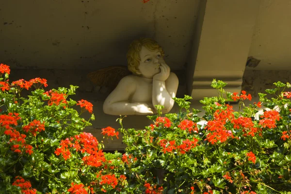 Flowers near cupid statue