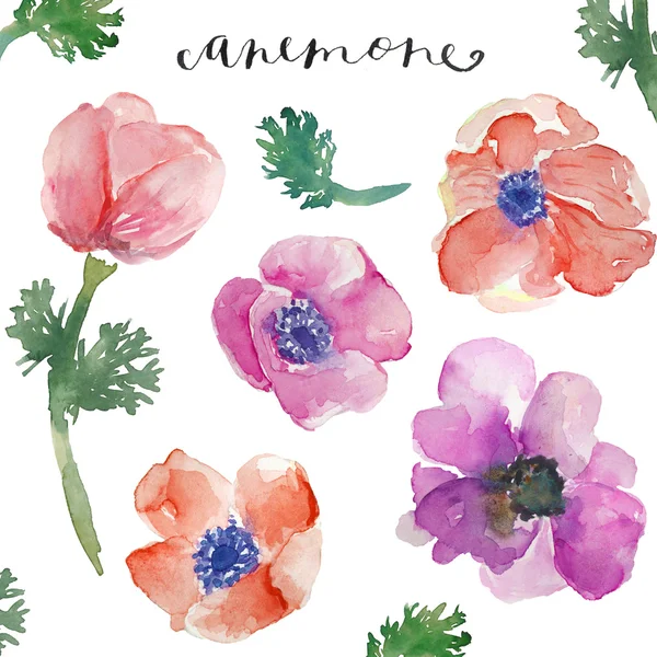 Watercolor Floral Bunches. Watercolor FLower Bunches. Groups of