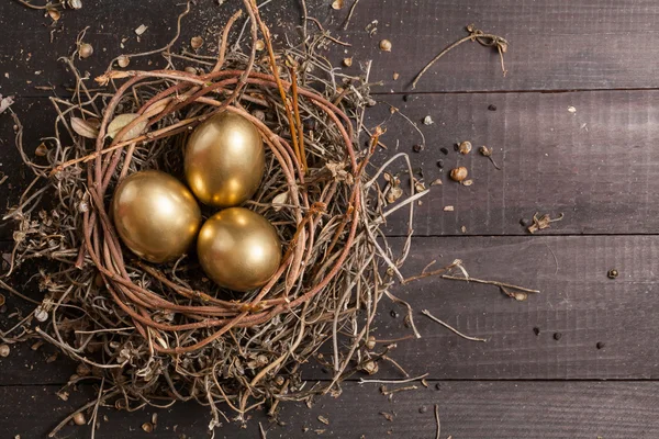 Golden eggs in nest