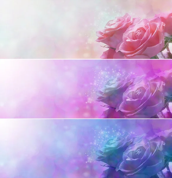Soft sparkly romantic roses banner x 3