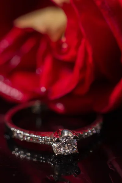 White gold diamond ring in Red rose taken closeup with water drops