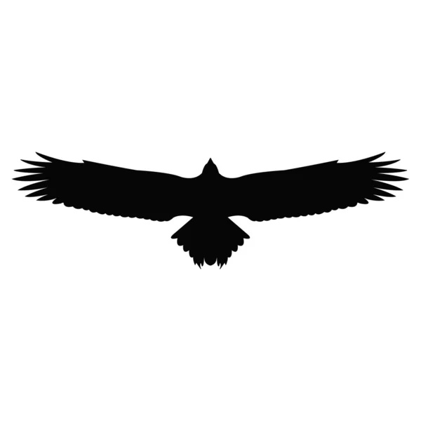 xtern verse uxterm xtern verse uxterm
