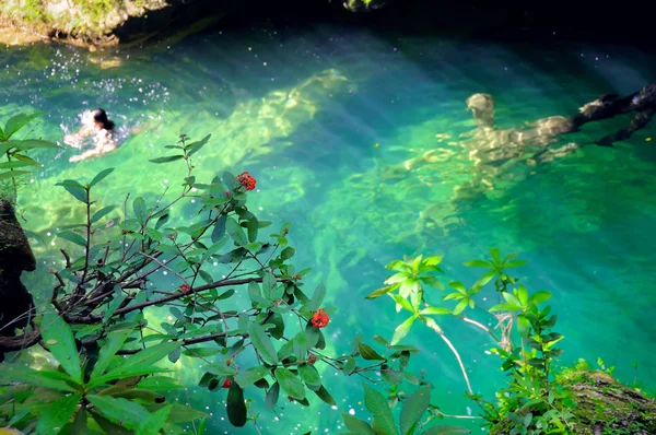 Tropical green waterfall pond at escambray, cuba