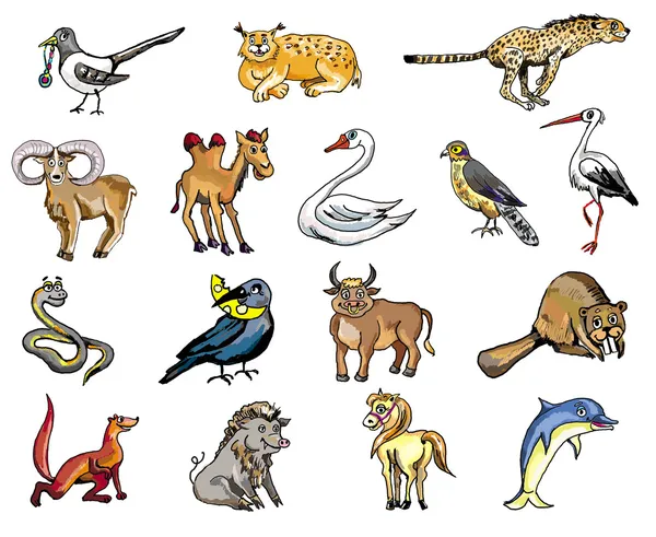 Draw animals collage