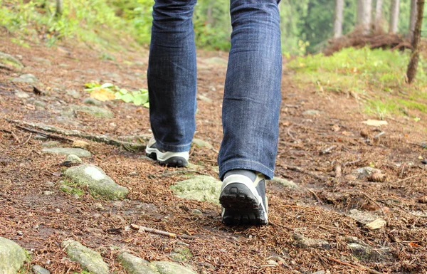 Hiking boots and legs of a woman on the mountain path