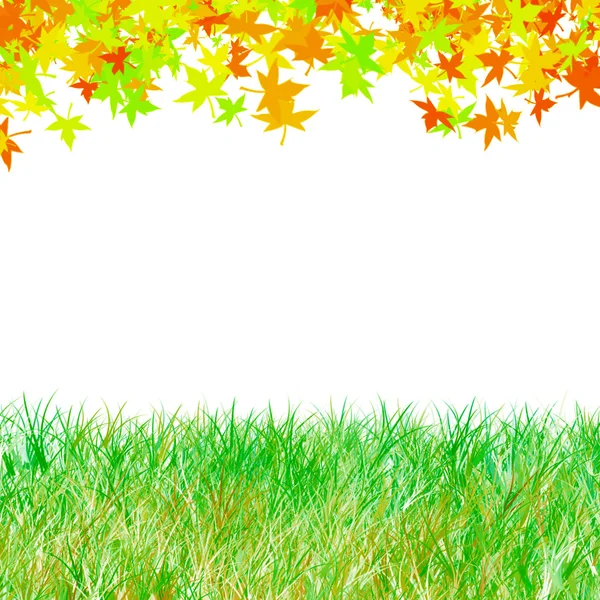 Autumn maple leaves with green grass