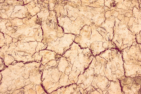 Background dry soil with cracks