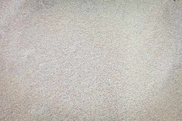 Sandy beach background. Detailed sand texture. Top view