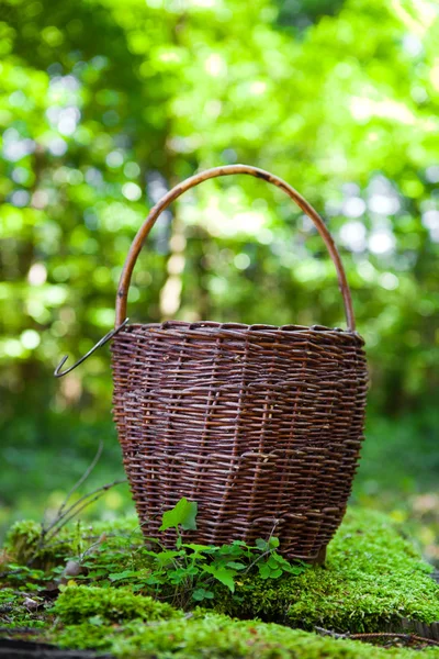 Basket for mushrooms in the woods