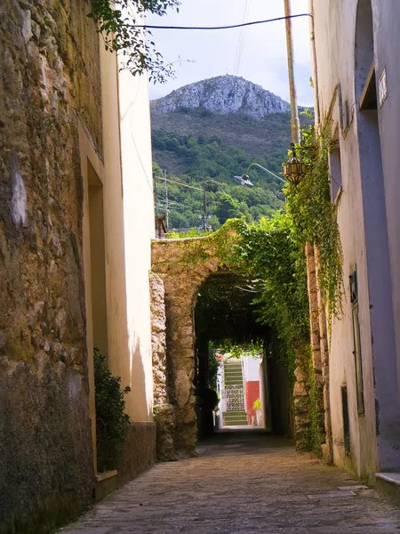 Quiet corner on the Magical Island of Capri Italy