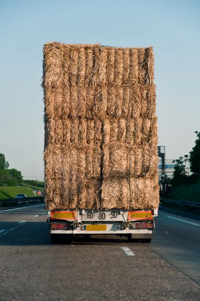 Truck with nerd wheat