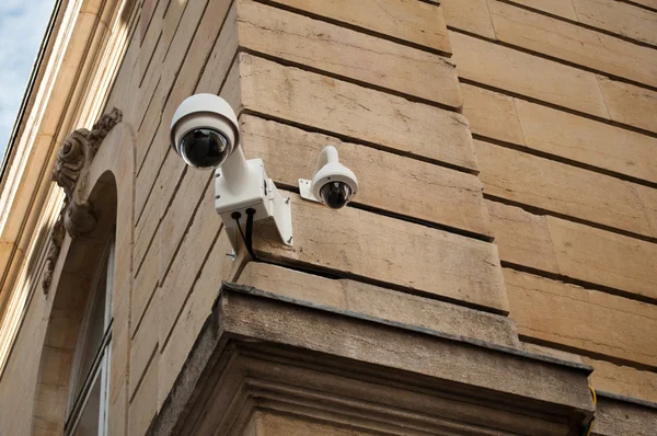 Electronic security video camera of surveillance