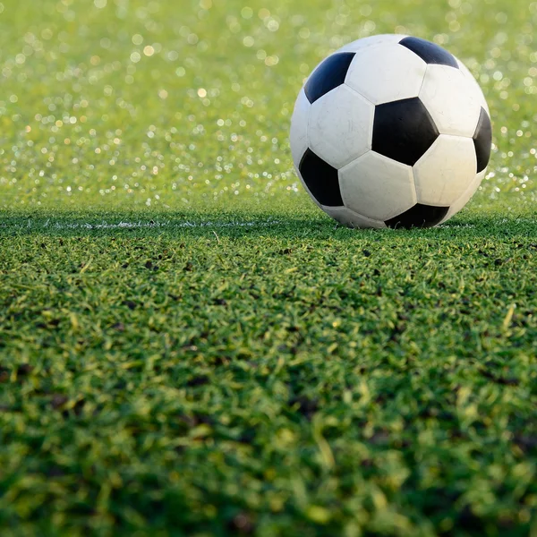 Soccer field stadium on the green grass, soccer ball sport game