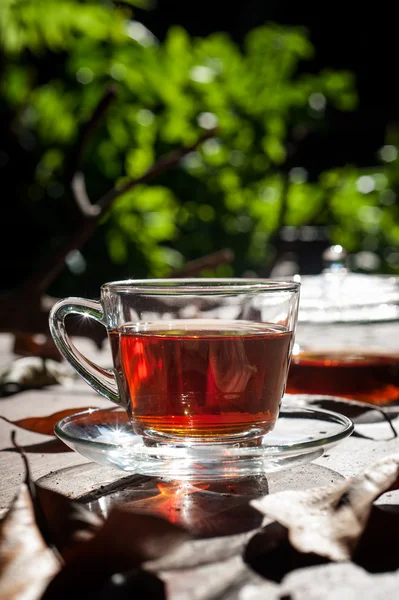 Tea Break in the garden with Hot Tea Cup