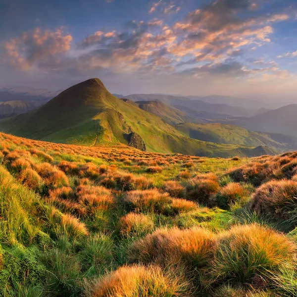 Landscape in the mountains.