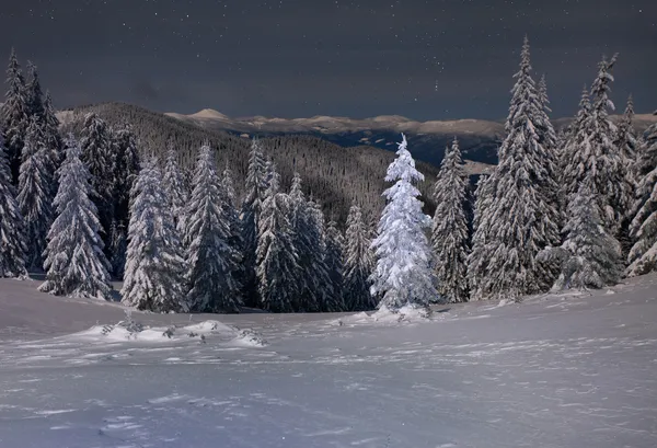 Winter landscape in the mountains at night