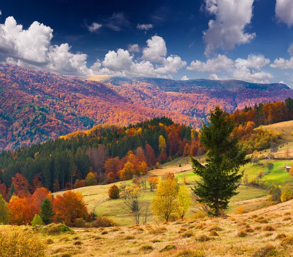 Autumn  in the mountains