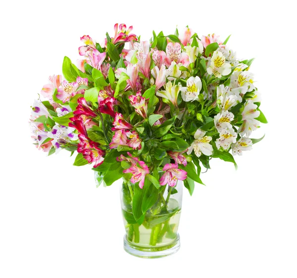 Bouquet of alstroemeria flowers