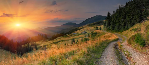 Summer landscape in the mountains.