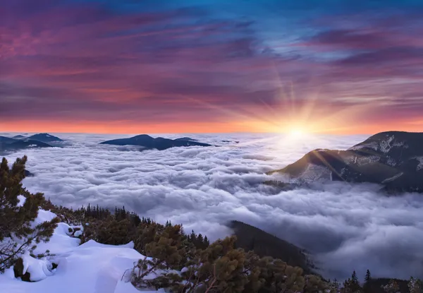 Winter landscape in the mountains