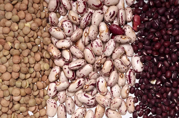 Different beans and lentil