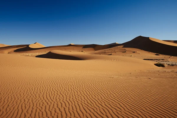 Sand dunes in desert landscape of Namib