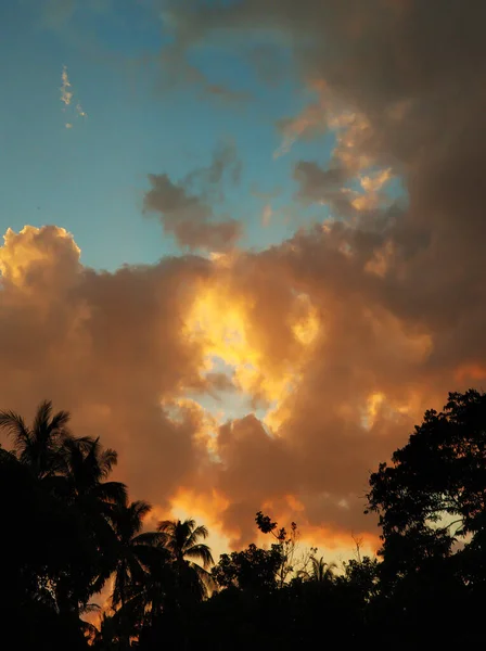 Ciel Nocturne Sous Les Tropiques Avec Silhouettes Palmiers Rayons Soleil — Photo