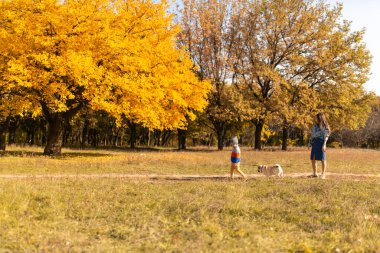 Bir çocuklu genç bir anne ve renkli bir parkta sonbahar yürüyüşüne çıkmış bir köpek..