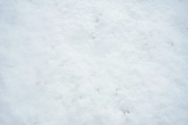Tekstura Białego Nietkniętego Śniegu Leżącego Drodze — Zdjęcie stockowe