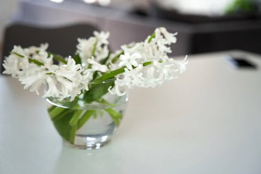 Beyaz oturma odası cam vazoda taze çiçeklerle dekore edilmiş..