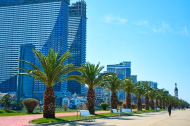 Georgia Batumi 'nin modern tatil köyü. Toprağın üzerinde düzgün bir palmiye çizgisi.
