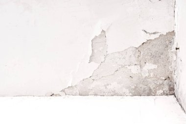 Evin nemli köşesindeki duvarda mantar ve küf var. Gevşek alçı, yetersiz inşa edilmiş konutlar ve nemli iklim sorunları.