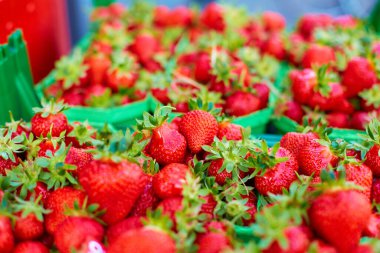 Market raflarında taze olgun çilekler var..