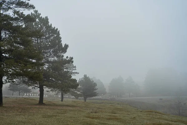 Vue Sur Vallée Haute Montagne Brouillard Épais Visibilité Limitée — Photo