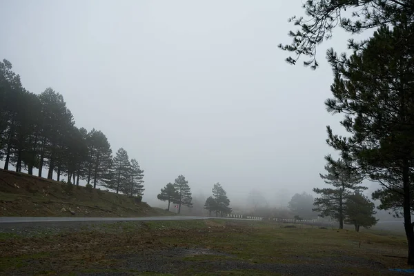 Wysoka Mgła Górach Ograniczona Widoczność Złe Warunki Pogodowe Dla Kierowcy — Zdjęcie stockowe