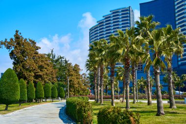 Modern iyi bakımlı şehir seti, park alanı..