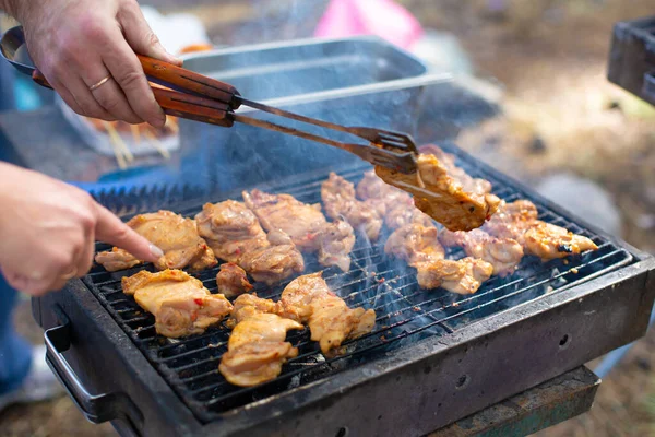 Ailes Poulet Sont Frites Sur Gril Pique Nique Printemps — Photo