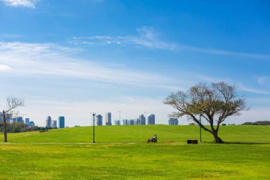 Green lawns of the city recreation park. Tel Aviv, Israel - 02.14.2015