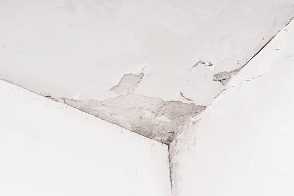真菌和霉菌在房子潮湿的角落里的墙上 松软的石膏 房屋质量差和气候潮湿的问题 — 图库照片