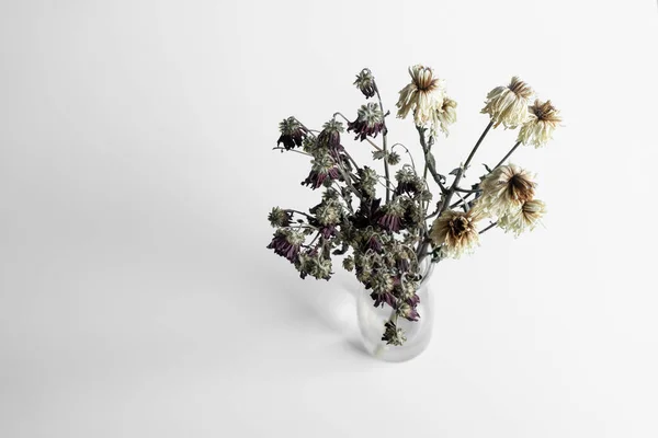 Csokor Hervadt Virágok Fehér Alapon — Stock Fotó