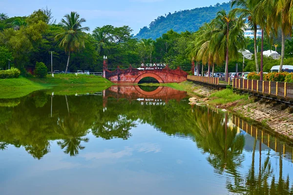 Tropik adadaki yeşil parkta bir gölet. Güzel doğa manzarası, dinlenmek için bir yer. Langkawi, Malezya - 06.23.2020