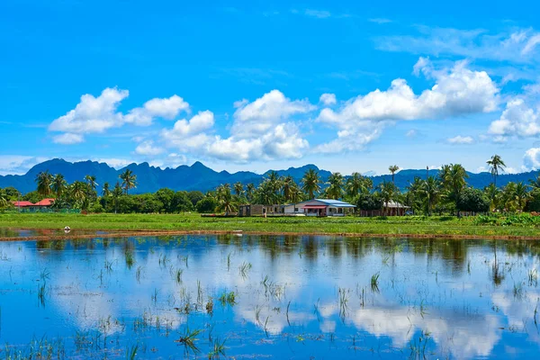 Tropical Landscape Mountains Palms Blue Sky Pure Nature Lake Mirror — Stock Photo, Image