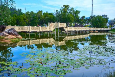 Tropik adadaki yeşil parkta bir gölet. Güzel doğa manzarası, dinlenilecek yer..