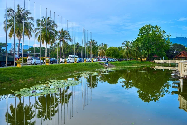 Tropik adadaki yeşil parkta bir gölet. Güzel doğa manzarası, dinlenmek için bir yer. Langkawi, Malezya - 06.23.2020