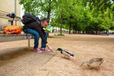 Bir adam şehir parkında bir ördeği elleriyle besler. Komik ördek neşeleniyor. Berlin, Almanya - 05.17.2019