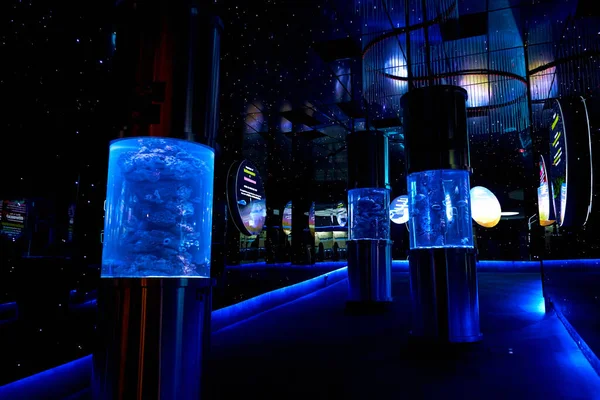 Futuristický Interiér Oceária Mystickým Osvětlením Trubicových Akvárií Kuala Lumpur Malajsie — Stock fotografie