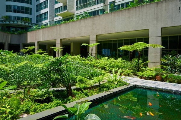 Jardín Verde Patio Interior Del Complejo Residencial —  Fotos de Stock